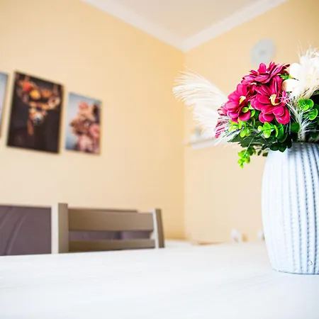 Alexas Apartamento *