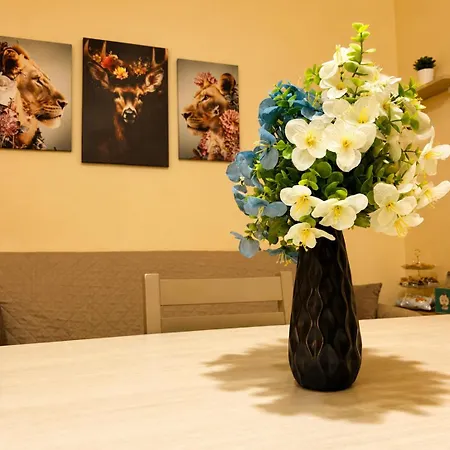 Alexas Rooms- Centro -10 Min Dal Mare Appartamento Crotone